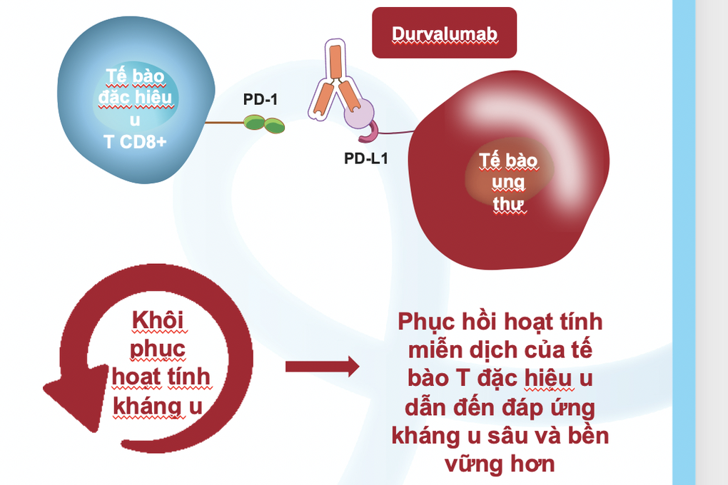 Liệu pháp miễn dịch có thể giúp tăng tỷ lệ sống còn cho bệnh nhân ung thư đường mật (Ảnh: BS).
